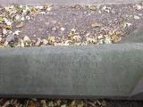 image of grave number 203821